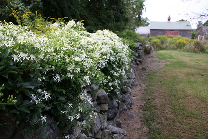 LCNK_HazardFarm LCNK_HazardFarm